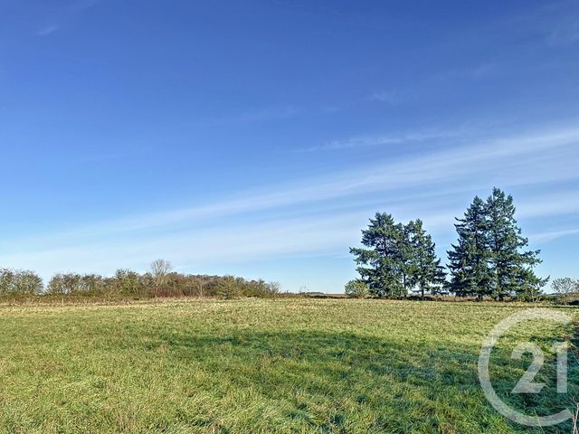 terrain - MAINNEVILLE - 27
