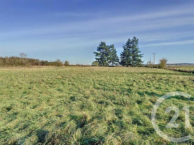 terrain - MAINNEVILLE - 27