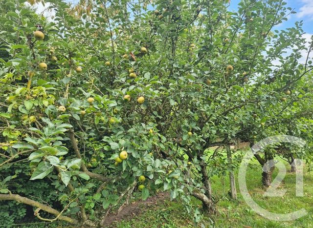 maison à vendre - 3 pièces - 68.51 m2 - DELINCOURT - 60 - PICARDIE - Century 21 Osmose Cb