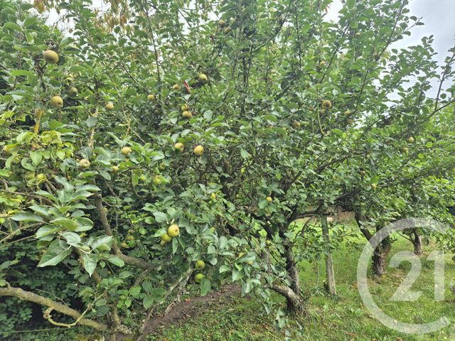 maison à vendre - 3 pièces - 68.51 m2 - DELINCOURT - 60 - PICARDIE - Century 21 Osmose Cb