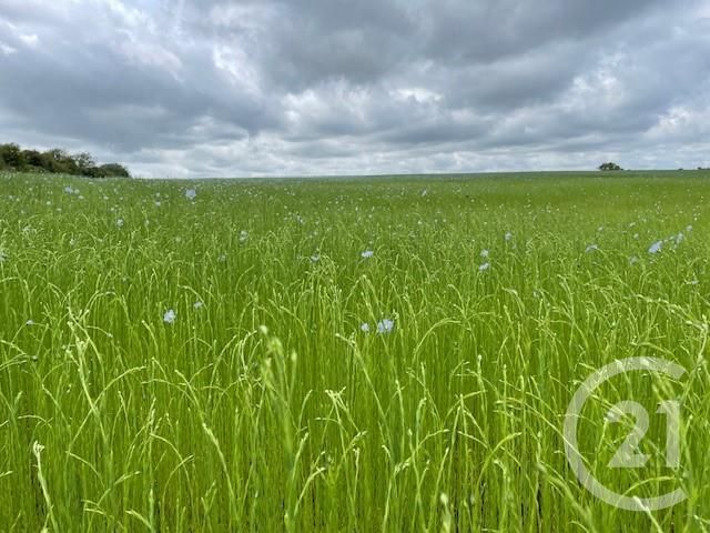 terrain à vendre - 962.0 m2 - FLAVACOURT - 60 - PICARDIE - Century 21 Osmose Cb
